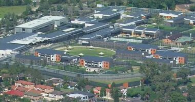 He was released from Yongah Hill Immigration Detention Centre in Western Australia last month.