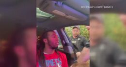 Most charges dropped in viral Jacksonville traffic stop, court records show