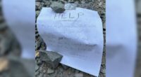 Mother, son lost in California forest rescued using written notes