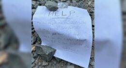 Mother, son lost in California forest rescued using written notes