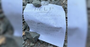 Mother, son lost in California forest rescued using written notes