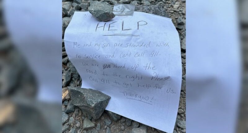 Mother, son lost in California forest rescued using written notes
