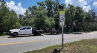 Mount Dora to add school zone speed cameras just in time for new year