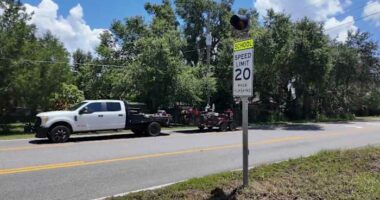 Mount Dora to add school zone speed cameras just in time for new year