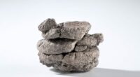 Museum finds 70-million-year-old fossil under parking lot