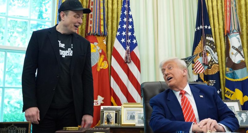 Musk launches 'America Party' in response to 'insane' Trump tax bill passing