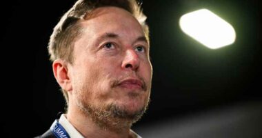Musk's latest Grok chatbot searches for billionaire mogul's views before answering questions