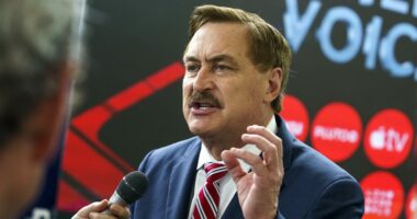 MyPillow CEO Mike Lindell's attorneys fined for inaccurate, AI-generated brief