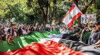 Demonstrators take to the streets of Sydney every Sunday.