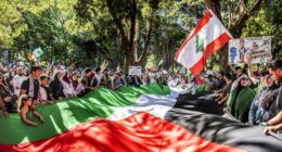 Demonstrators take to the streets of Sydney every Sunday.