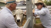 Nationals Leader David Littleproud claims Agriculture Minister Julie Collins ignored advice from the Inspector-General of Biosecurity when she lifted a ban on beef imports from the United States.