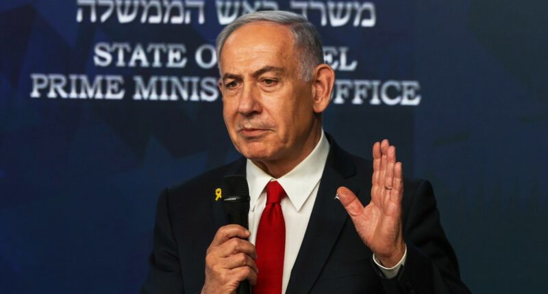 Netanyahu's appearance on popular Nelk Boys podcast draws criticism from right and left online