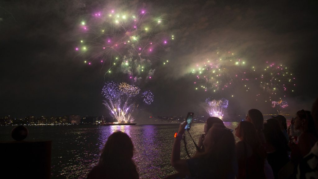 New FBI alert: Lone wolf actor biggest threat to 4th of July festivities in New York, San Francisco: FBI, DHS bulletins