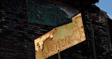 New remains bring January California wildfire toll to 31