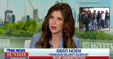 Noem rips judge as Trump DOJ appeals 'roving' ICE raid block