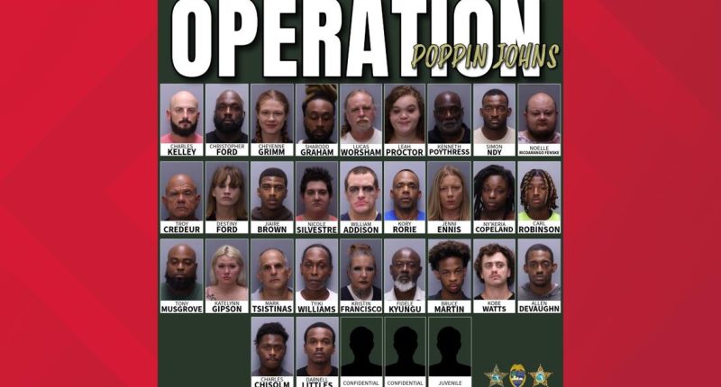 Northeast Florida law enforcement's three-day sting nets 33 arrests