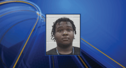 ONLY ON 3: New information on latest Oglethorpe Mall arrest