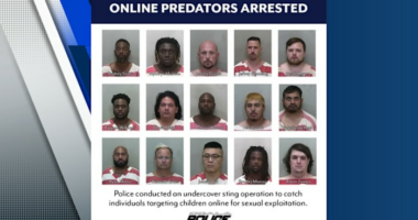 Ocala police arrest 15 in child sex sting