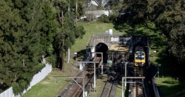 Woollahra railway station was canned during construction , but could now be revived as part of a housing plan.