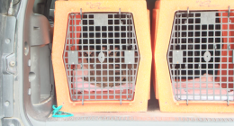Owners arrested after 30+ animals removed from Carter County home