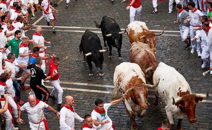 Pamplona holds opening bull run during San Fermín festival