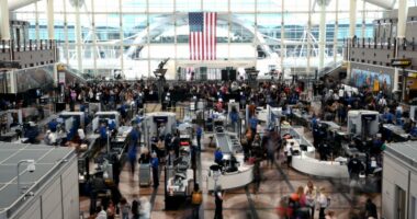 Passengers flee smoking jet on emergency slide after apparent landing gear problem at Denver airport