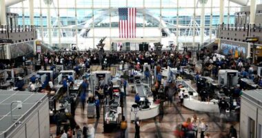 Passengers flee smoking jet on emergency slide after apparent landing gear problem at Denver airport
