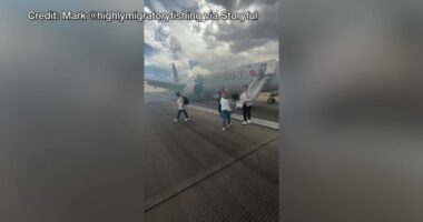 Passengers forced to evacuate American Airlines flight on runway due to tire issue: company