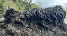 People alarmed as mom asks 'find my daughter' in scenic rock photo... can you spot her in 20 seconds?