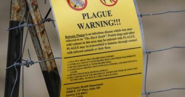 A sign warning of bubonic plague is displayed at a parking lot near the Rocky Mountain Arsenal Wildlife Refuge in Commerce City, Colorado, USA.