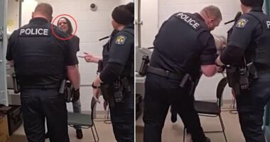 Plea hearing, sentencing set for former Ormond Beach officer accused of attacking woman after crash