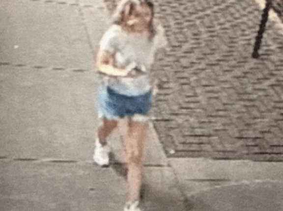 Police search for missing 22-year-old woman in Wisconsin