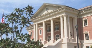Pooler mayor announces 2 new city ordinances
