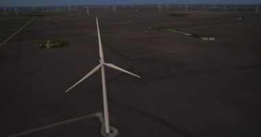 President Donald Trump administration cancels $4.9B loan guarantee for line to deliver green power from Midwest to eastern US