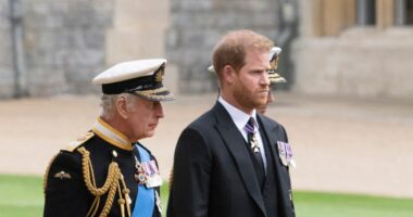 Prince Harry, King Charles' aides meet sparking peace rumors