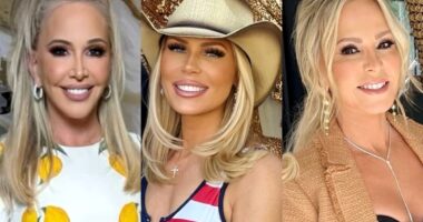 Shannon Beador Explains Why She Never Got Close to Gretchen & Not Rushing Back Into Friendship With Tamra, Plus How RHOC Season 19 Differs and Her Love Life