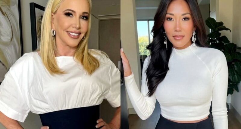 RHOC’s Shannon Beador Says She Feels ‘Violated’ by Katie Ginella’s Secret Recording, Reveals If She’ll Take Legal Action and Compares Her to Alexis and Tamra