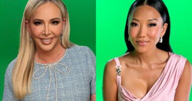 Shannon Beador Says She Accused Katie Ginella of Something “Criminal” and She’s Still “Shocked” by It, Plus Where Shannon Stands with Tamra Judge, and Why She Said Eddie Judge Has “Small-D**k Energy”