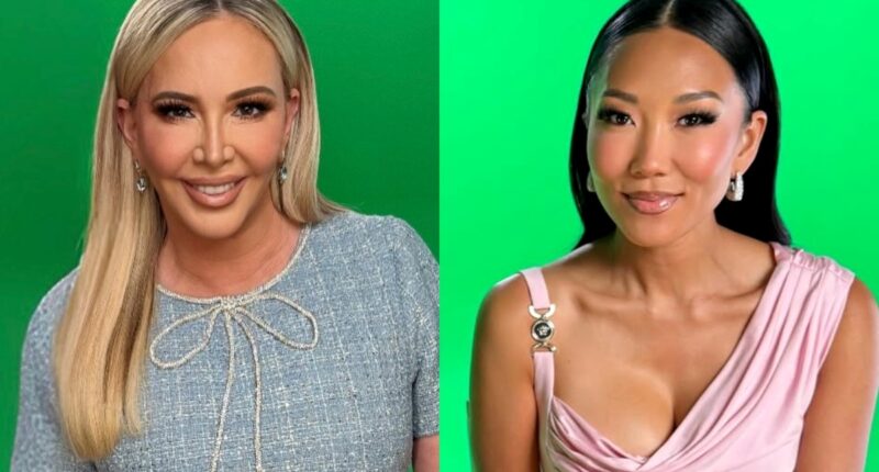 Shannon Beador Says She Accused Katie Ginella of Something “Criminal” and She’s Still “Shocked” by It, Plus Where Shannon Stands with Tamra Judge, and Why She Said Eddie Judge Has “Small-D**k Energy”