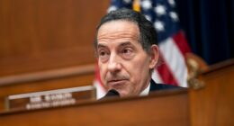 Raskin demands release of any Epstein files mentioning Trump, Jack Smith report