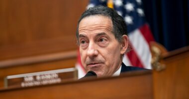 Raskin demands release of any Epstein files mentioning Trump, Jack Smith report