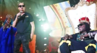 Reggae Sumfest Several Injuries Due To Stampede, Organizers Implement Safety Protocol