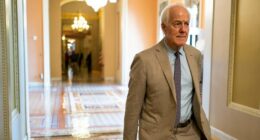 Republicans back Graham, Cornyn’s call for Obama special counsel