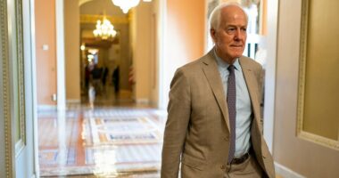 Republicans back Graham, Cornyn’s call for Obama special counsel