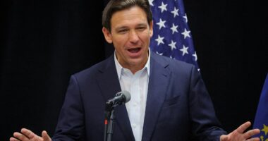 Ron DeSantis angered as Fox News host recalls Trump's insults