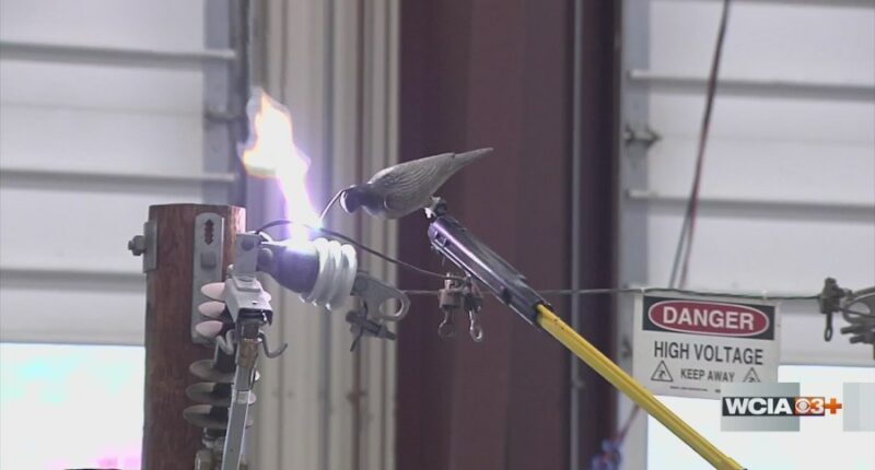 Rossville Fire Department hosts training for handling electrical emergencies