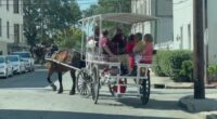 Savannah Council to weigh horse carriage heat limits