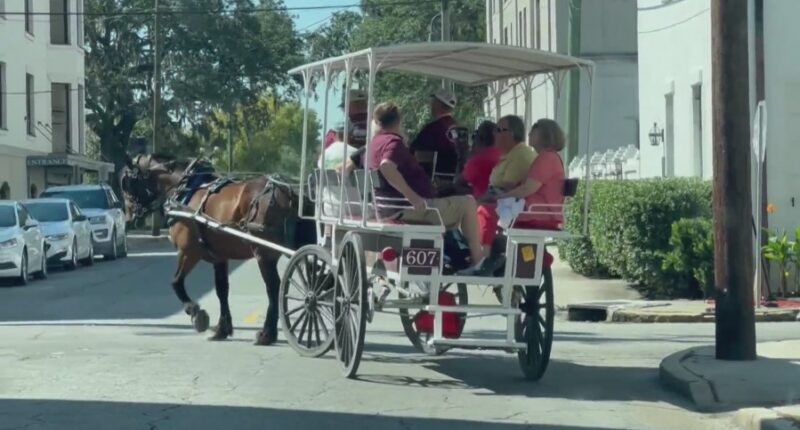 Savannah Council to weigh horse carriage heat limits