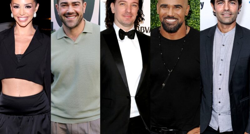 Scheana Shay Names 11 Celebrity Hookups Including Jesse Metcalfe, JC Chasez, Shemar Moore, & Adrian Grenier, Plus Says Sandoval Gave Mike Shay Ecstasy at Their Wedding