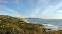 Scripps Research CEO's private plane goes missing over the Pacific Ocean